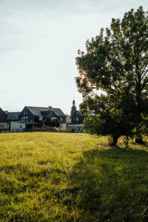Free Scenic rural landscape featuring a tree and distant houses under bright daylight. Stock Photo