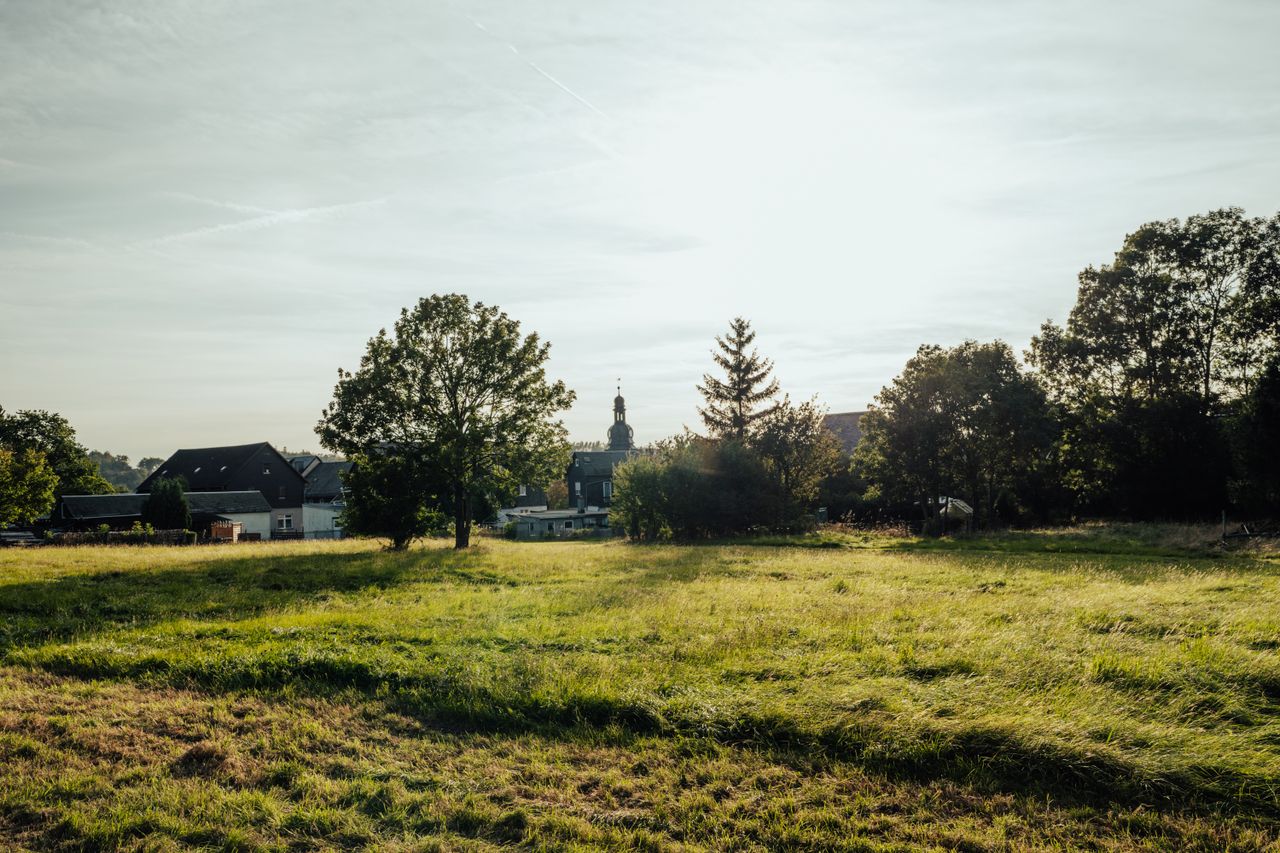 a serene view of a rural landscape featuring lush grass trees and dist