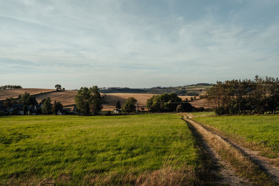 Picturesque rural landscape featuring lush fields and a winding dirt pathway under a clear sky.