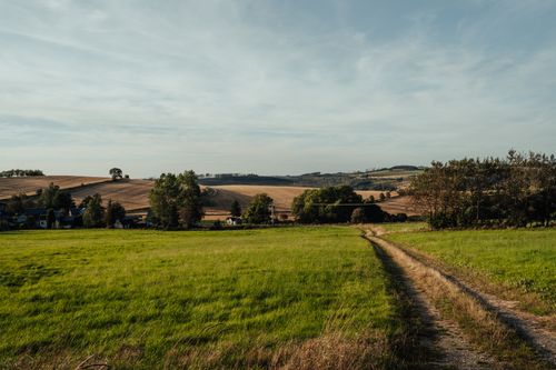Free Picturesque rural landscape featuring lush fields and a winding dirt pathway under a clear sky. Stock Photo