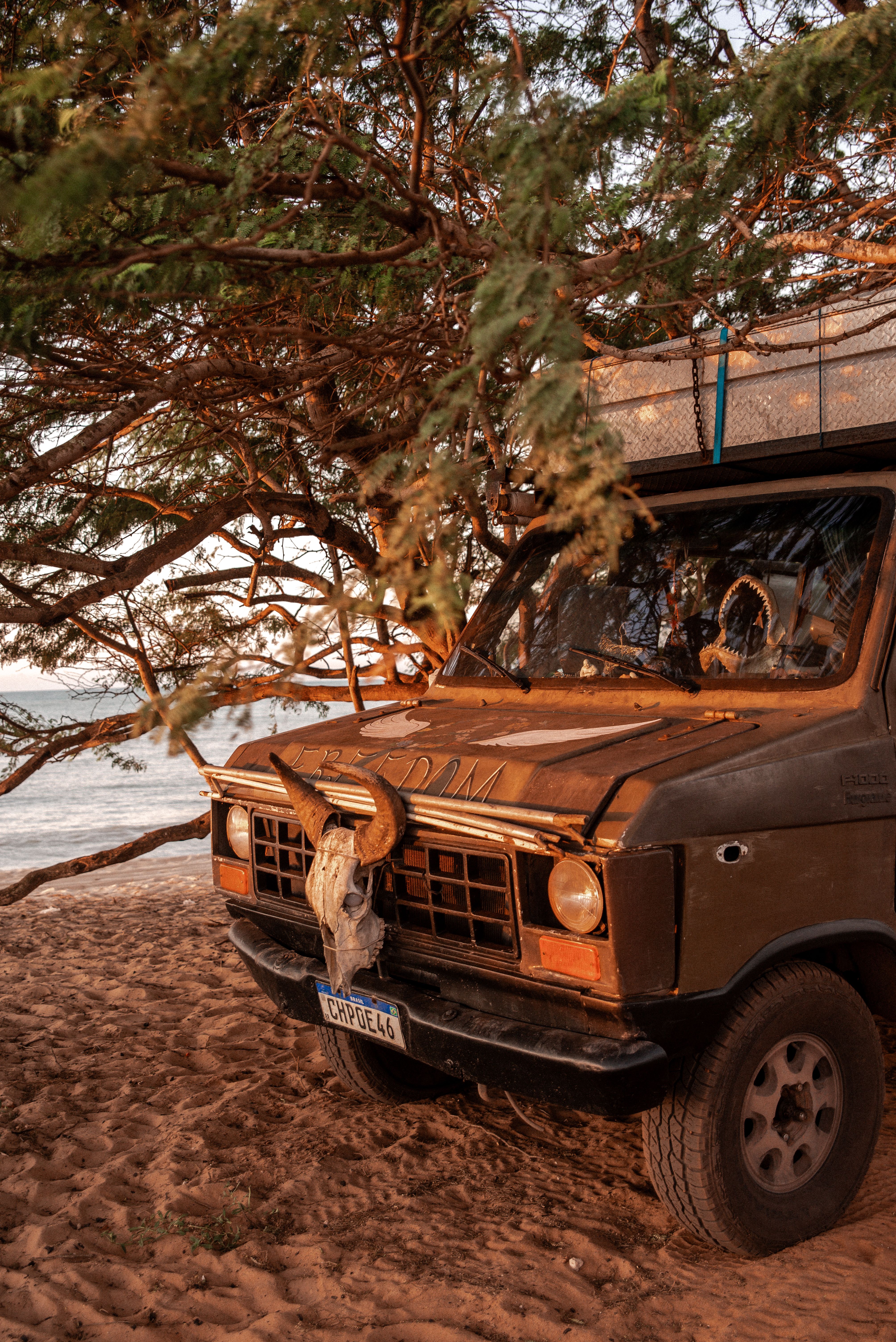 An old van parked on the beach near a tree · Free Stock Photo