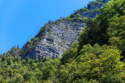 Free Explore the lush summer landscape of Gagra with vibrant greenery and majestic mountains. Stock Photo