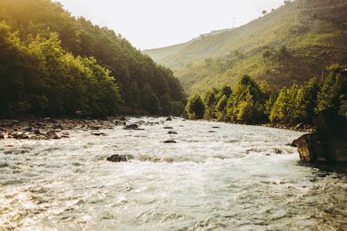 Free Photo of Flowing Body of Water Surrounded by Trees Stock Photo