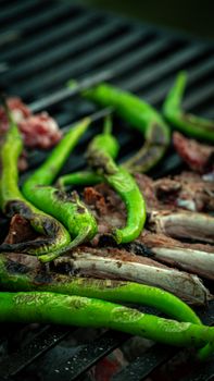 A close-up of green peppers and meat cooking on a grill, showcasing delicious barbecue outdoors.