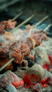 Juicy meat skewers sizzling over glowing coals with rising smoke for a perfect barbecue.
