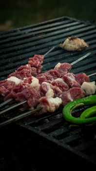 Delicious beef skewers grilling over charcoal with green pepper and onion for a savory meal.