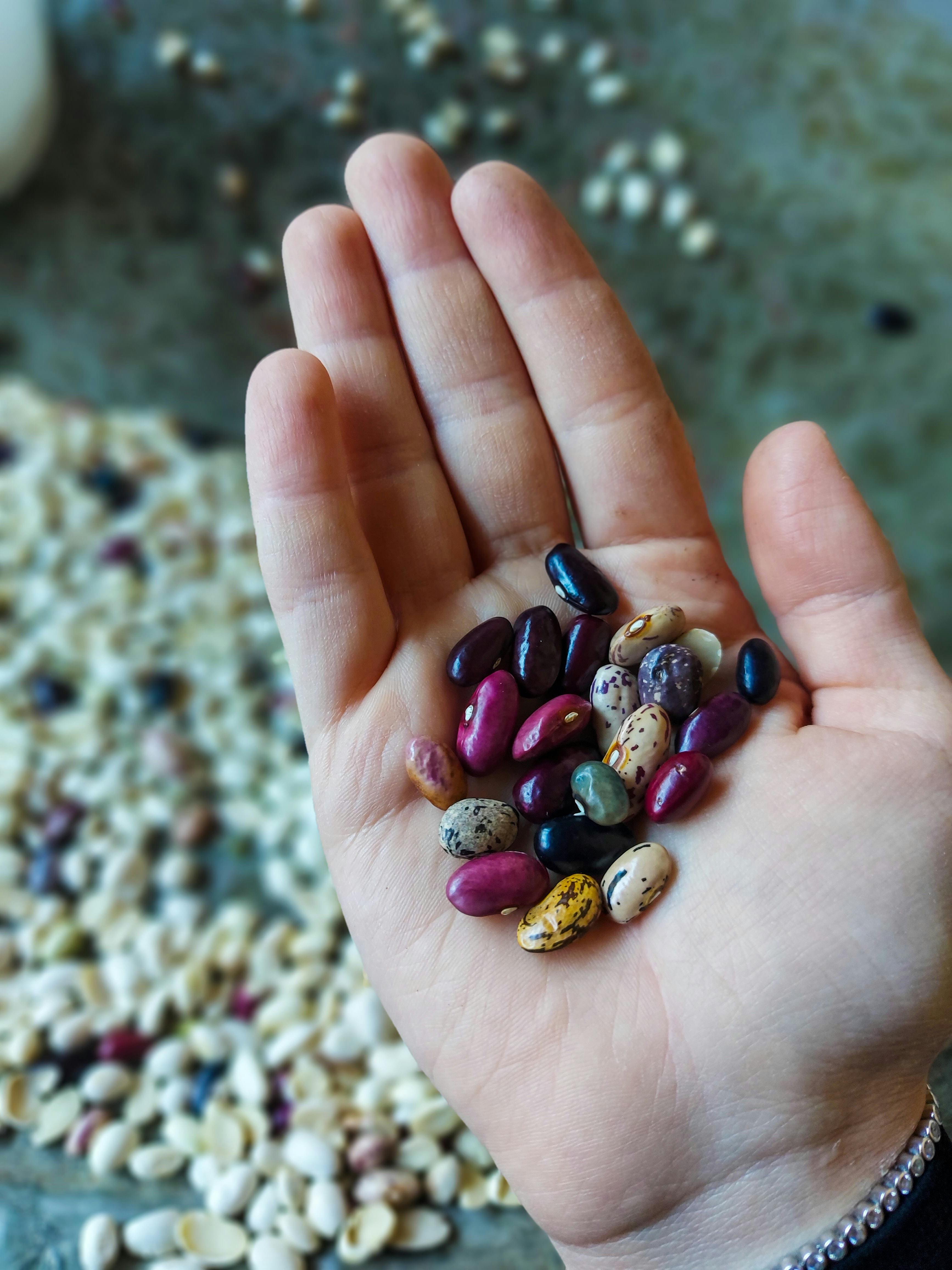 Woman holding a handful of beans and seeds