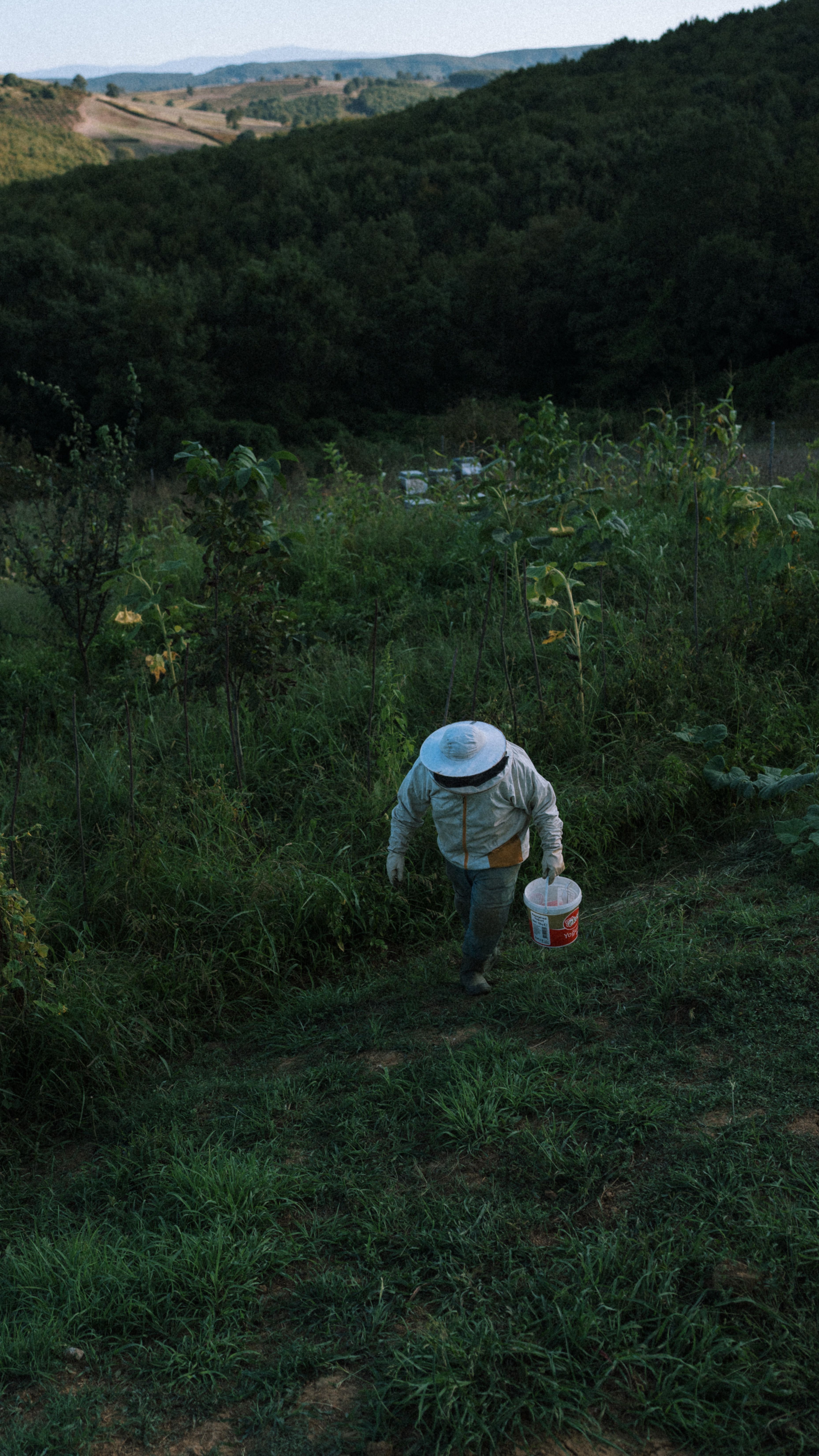A beekeeper in full protective gear walking through a lush green hillside environment.