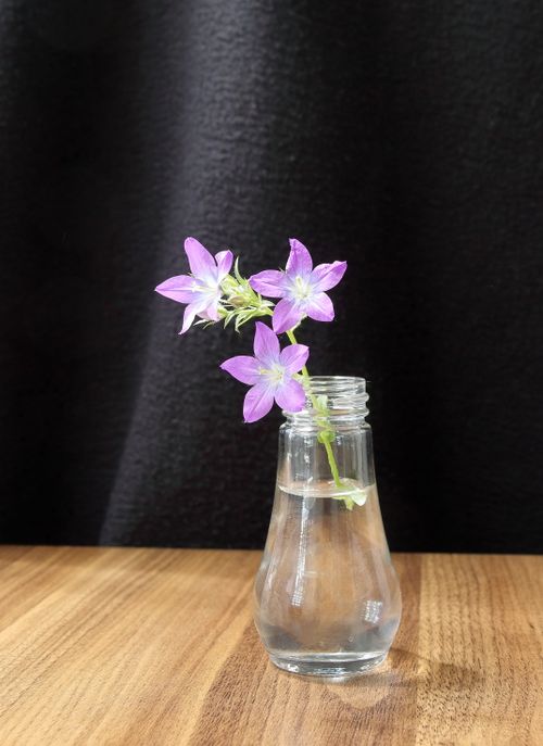 Free Purple flowers elegantly displayed in a small glass vase on a wooden table against a black background. Stock Photo