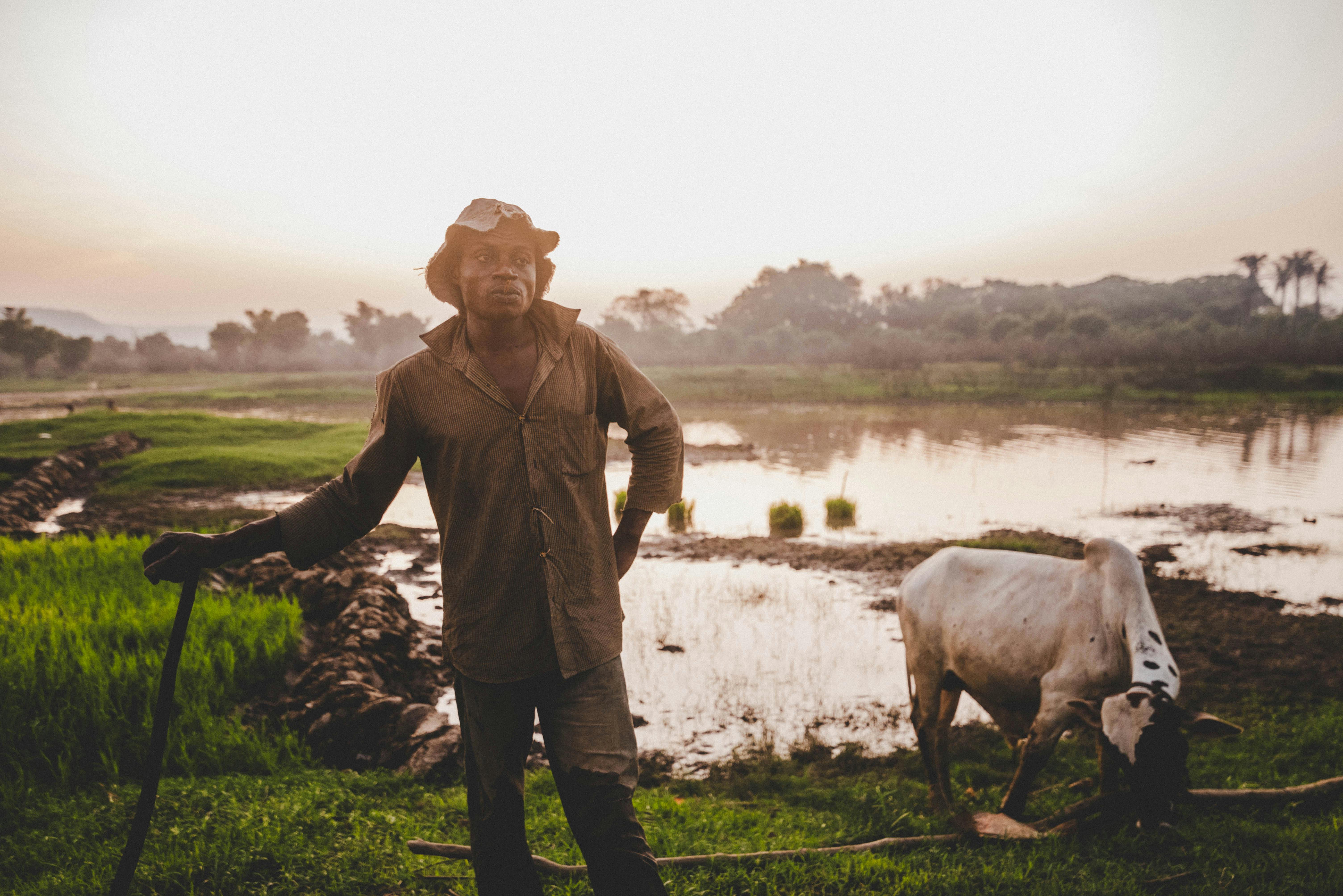 From farm to fork: Inside Kenya's push to boost growing