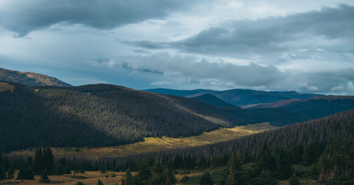 Expansive view of lush valley and mountains under a cloudy sky in Rocky Mountain National Park.