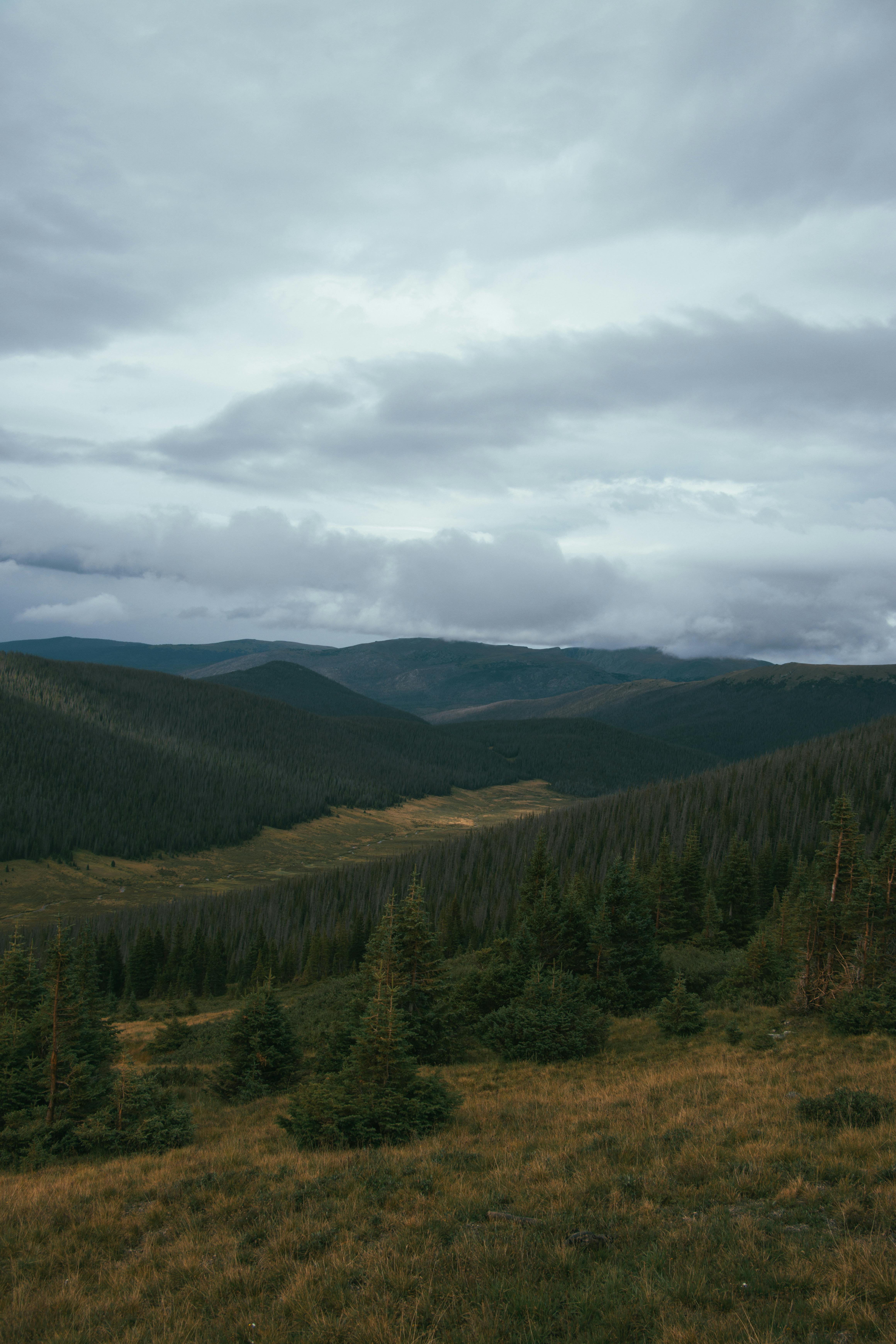 a view of a mountain range and forest under cloudy skies