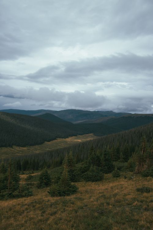 Free Dramatic view of a sprawling valley surrounded by dense forests and mountains under a cloudy sky. Stock Photo
