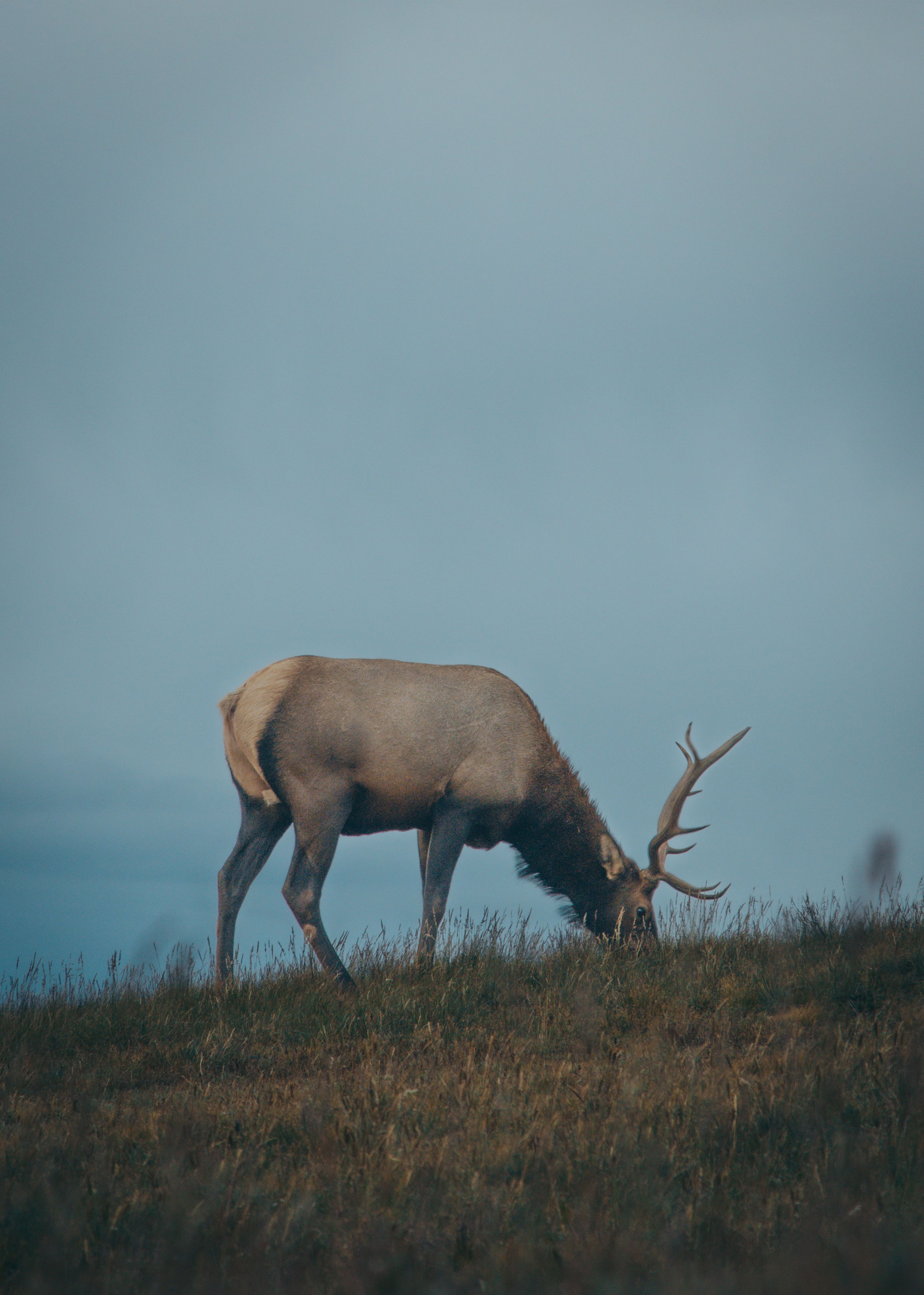 Day trip to Estes Park from Denver