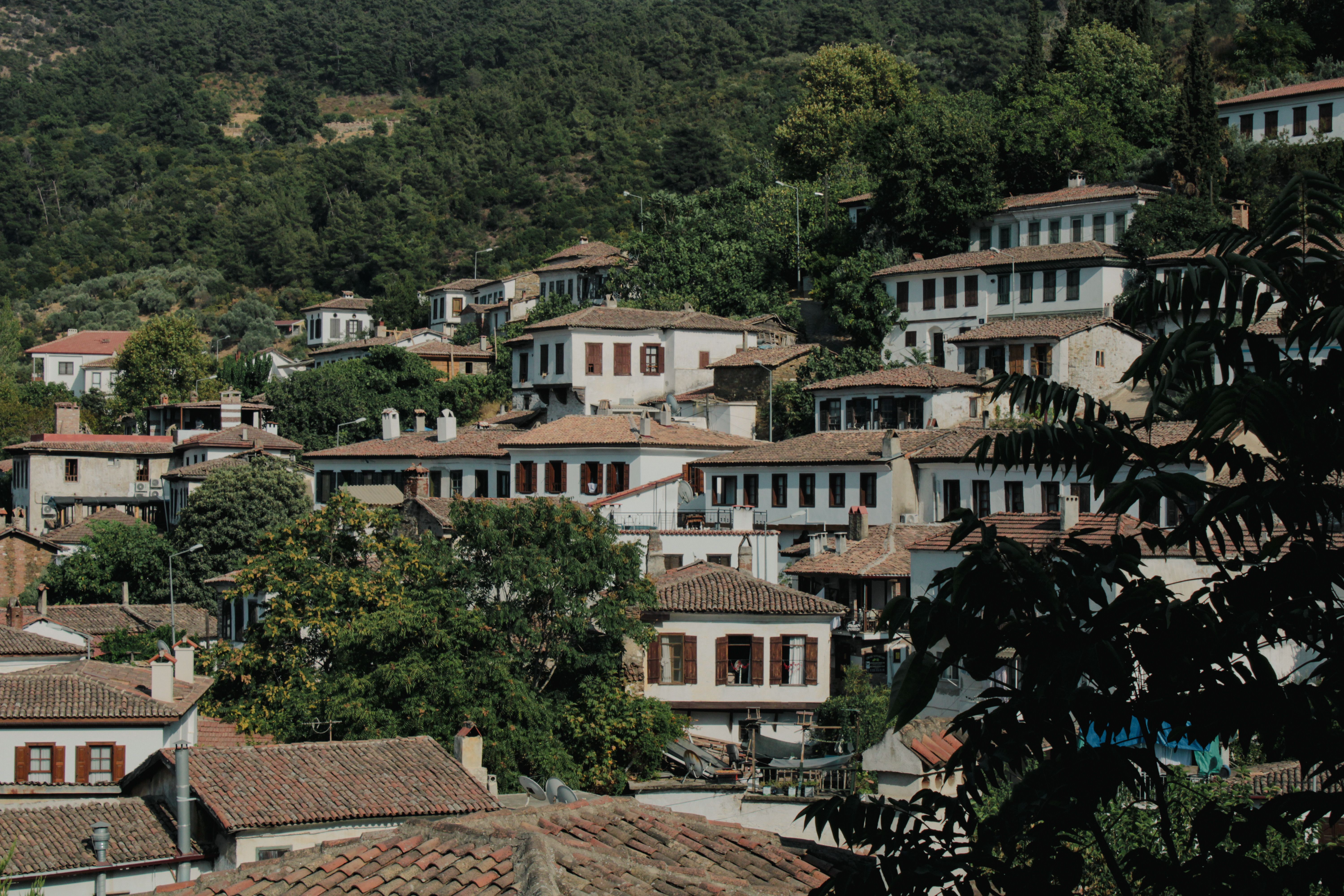 Picturesque hillside village with traditional architecture surrounded by lush greenery.