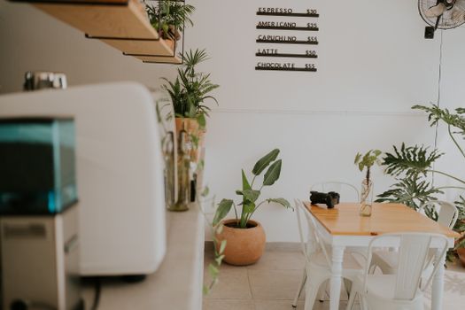Stylish cafe interior with plants and minimalist decor, perfect for coffee lovers.