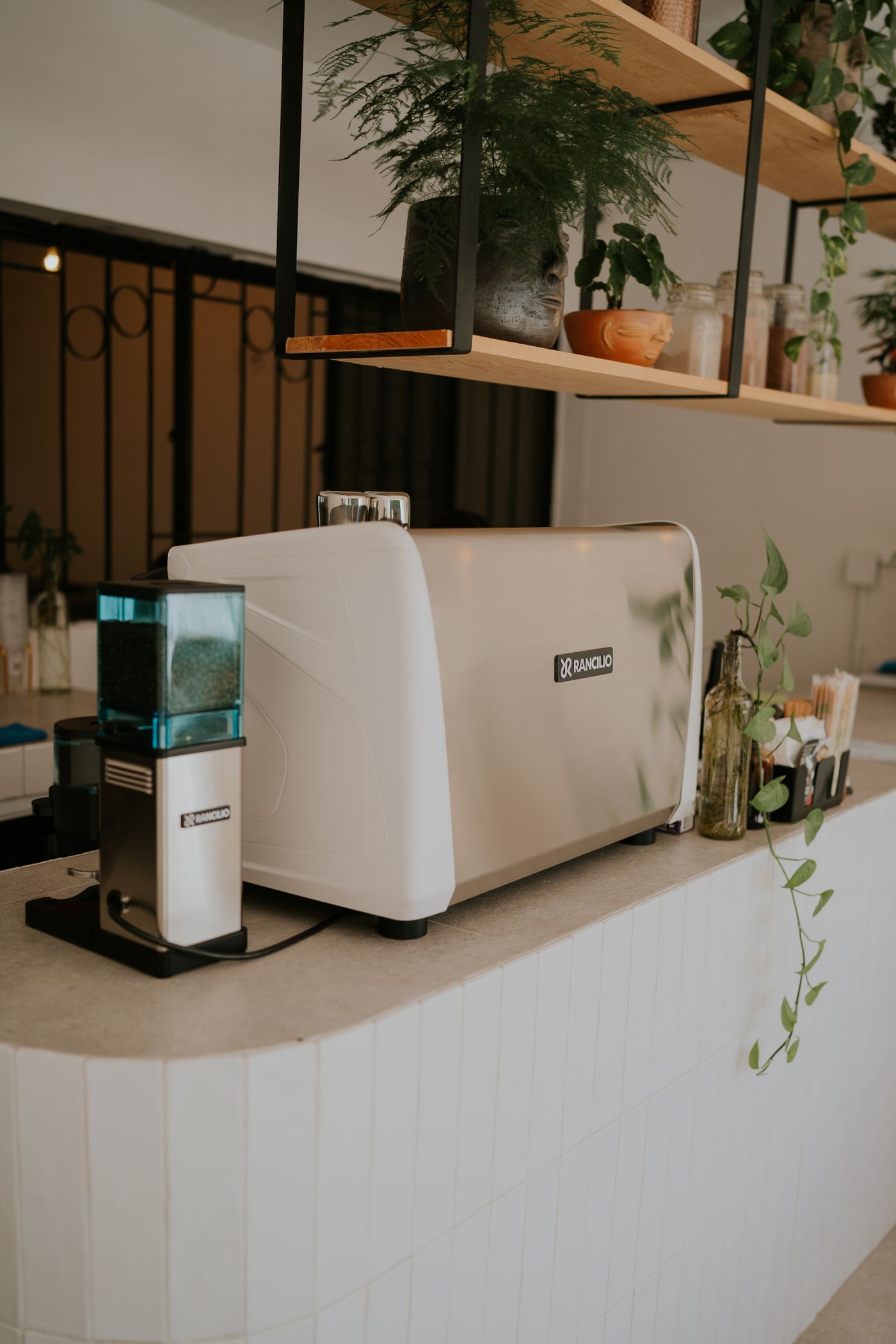 Espresso machine placed on a light kitchen counter beside plants and coffee accessories