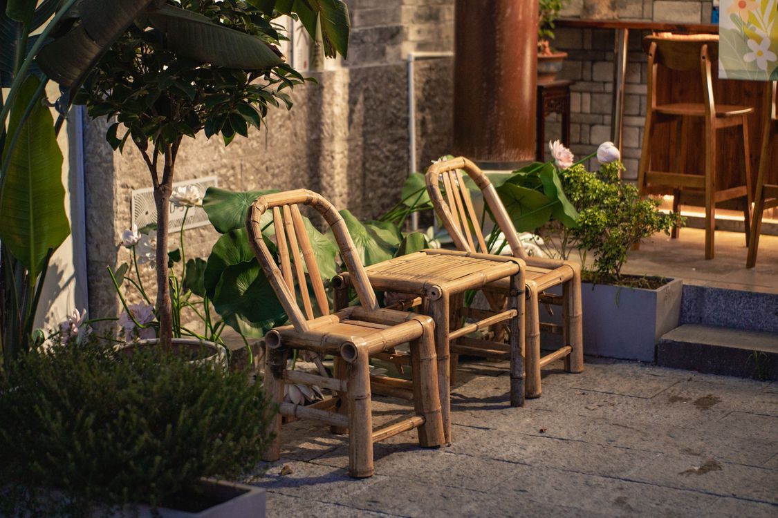 Bamboo furniture set in natural light living room with plants and earthy decor