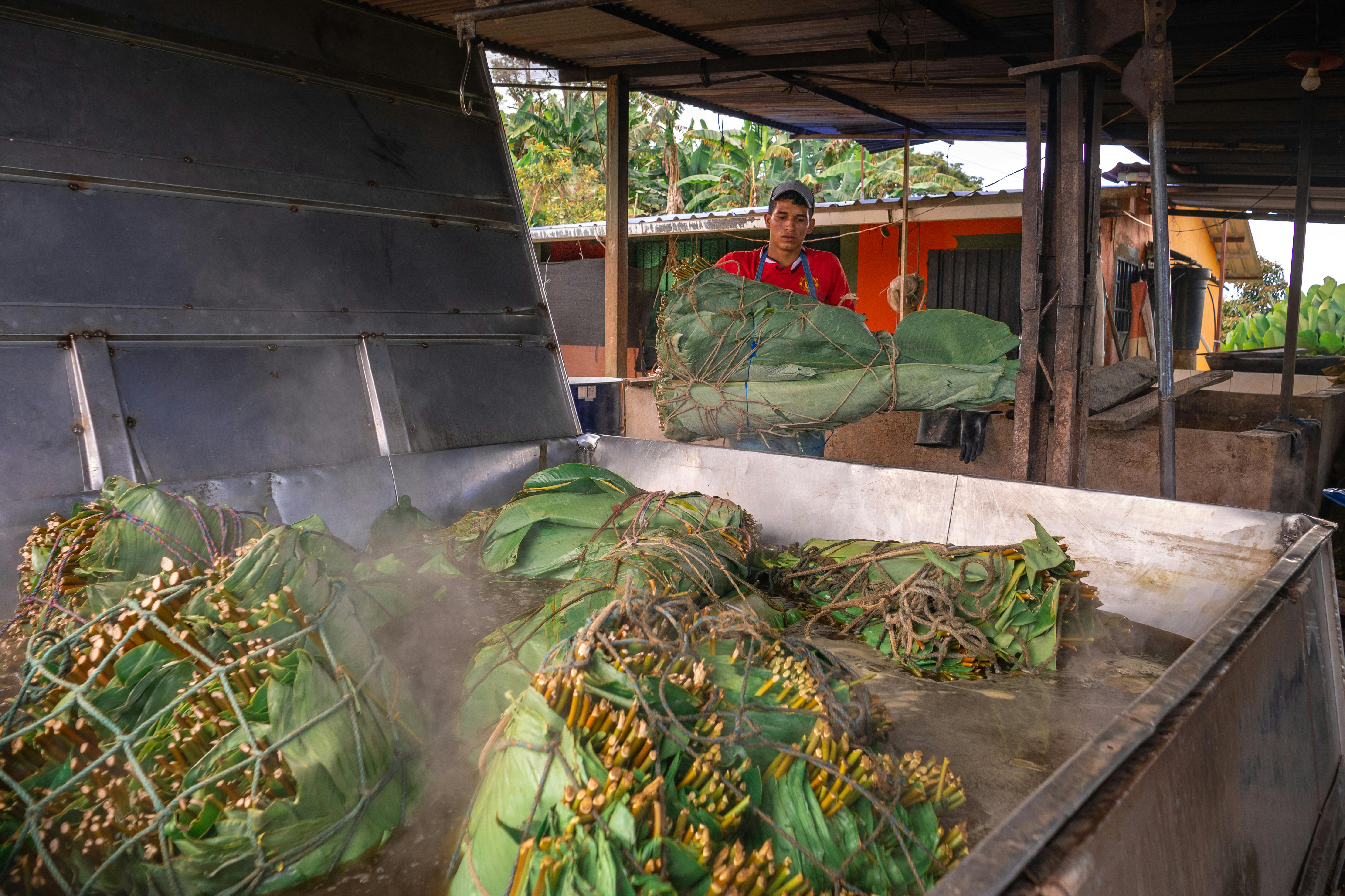 Gratuit Imagine de stoc gratuită din abur, activități agricole, agricultură Fotografie de stoc