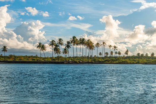 Serene tropical beach landscape showcasing palm trees along the shoreline under a bright blue sky.