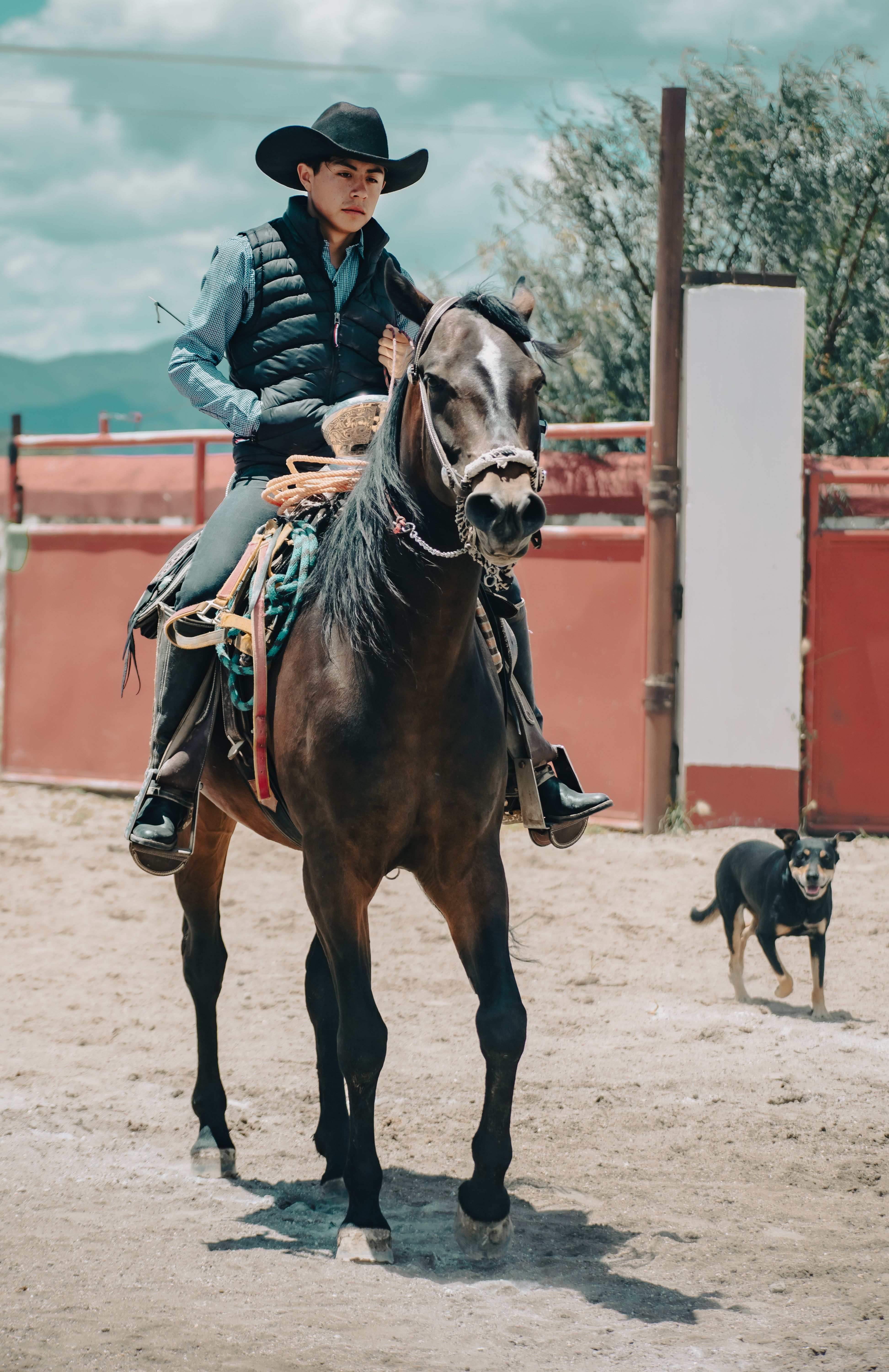 a caballo · Free Stock Photo