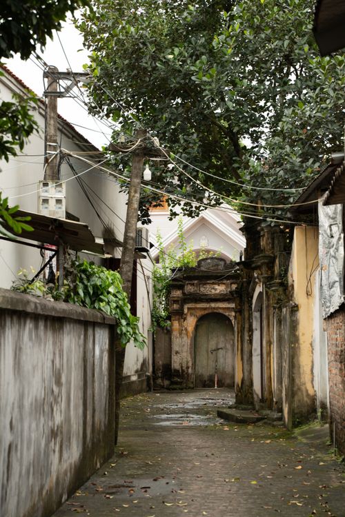 Free Quaint narrow alleyway with architectural charm, lush overhanging trees, and historic stonework. Stock Photo