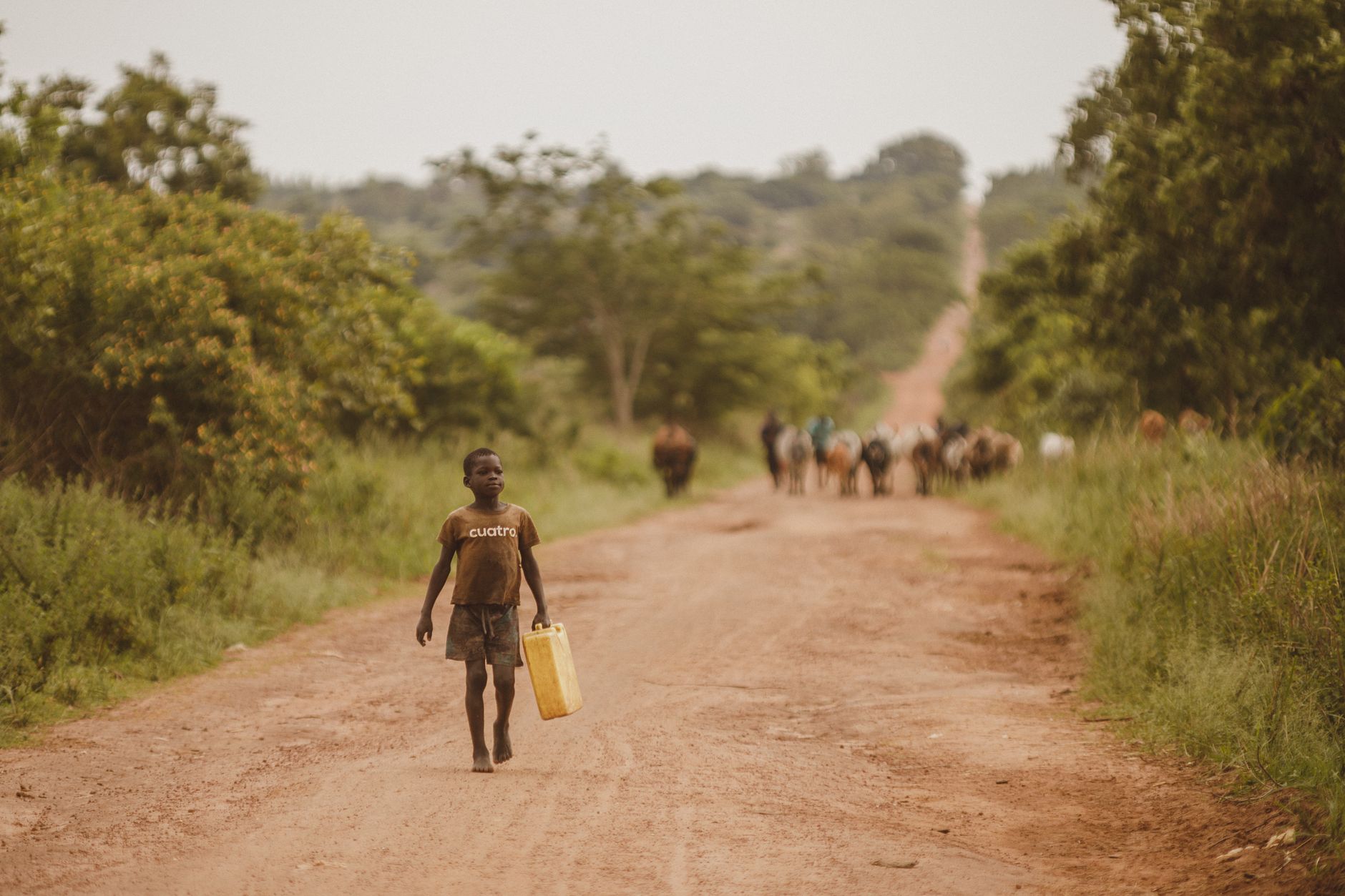 Uganda’s Ebola outbreak grows as regional agencies widen the warning