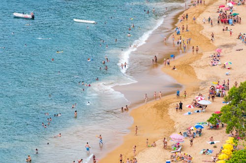 бесплатная Люди на пляже Стоковое фото