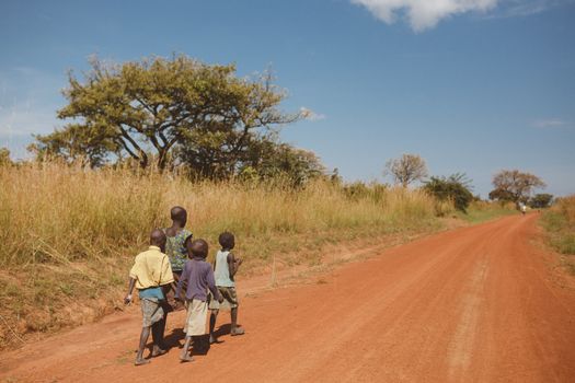 Photos gratuites de activité de plein air, africain, afrique