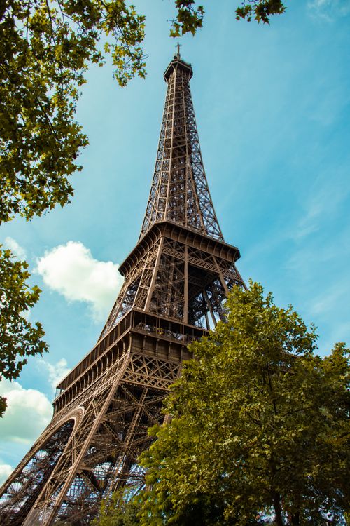 Free Stunning view of the Eiffel Tower framed by trees against a clear sky in Paris. Stock Photo