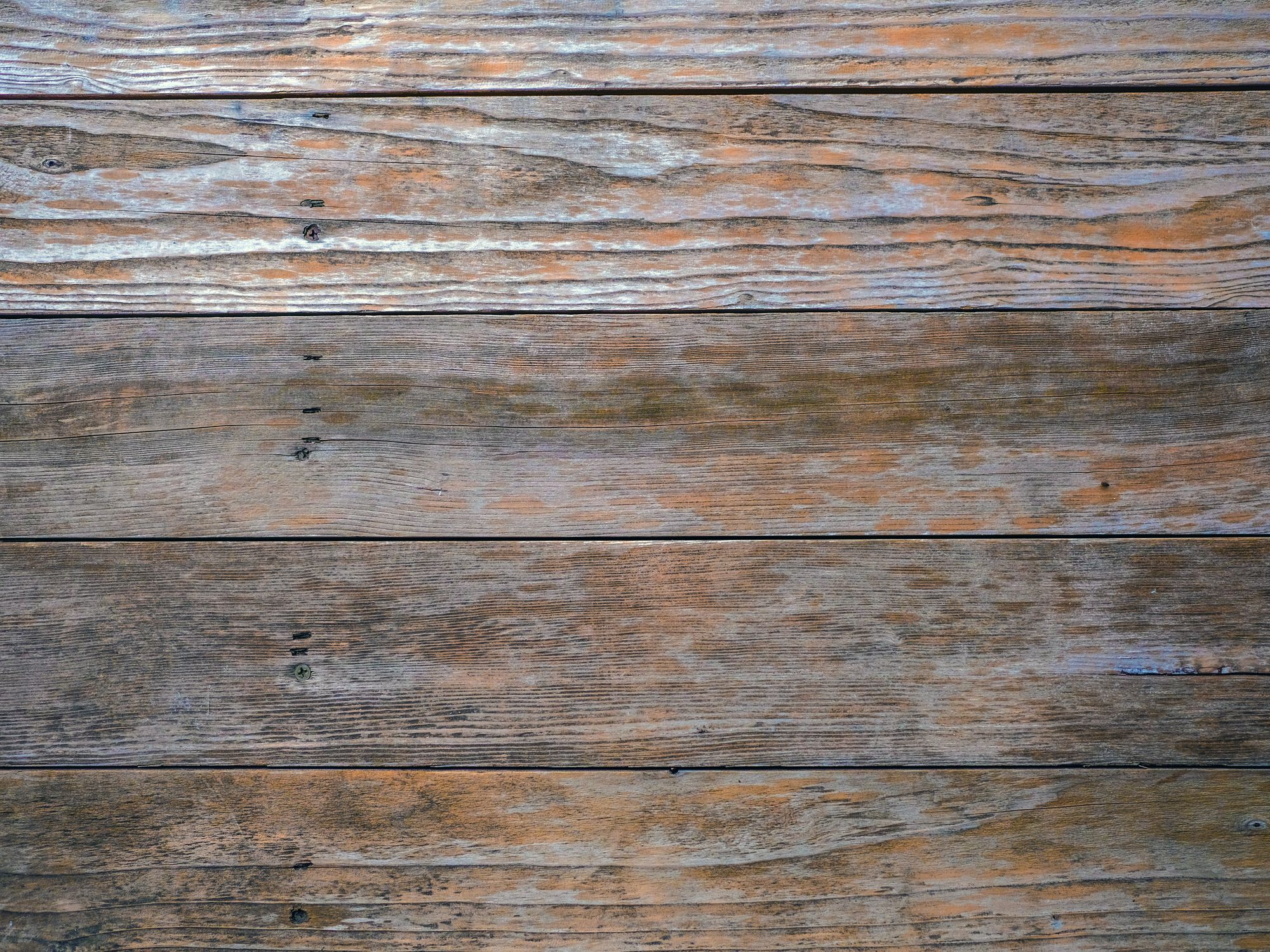 Fence and Decking Painting in Farringdon, Islington — garden fence being painted with weatherproof wood finish