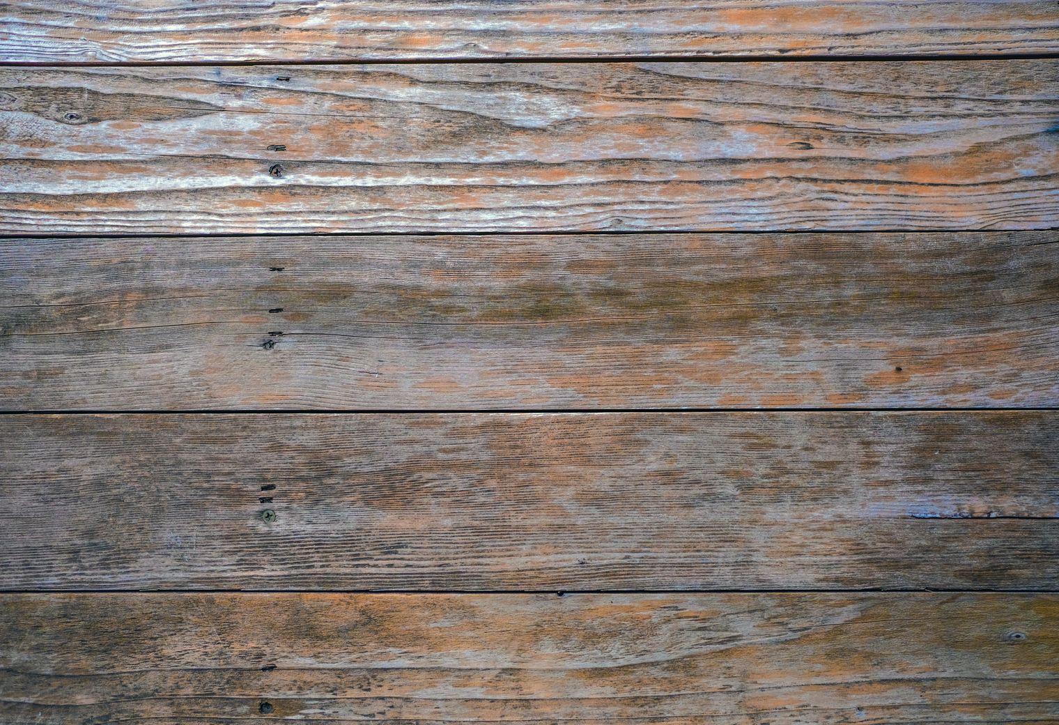 Plastering and Skimming in Pimlico — the finished result after a professional repaint