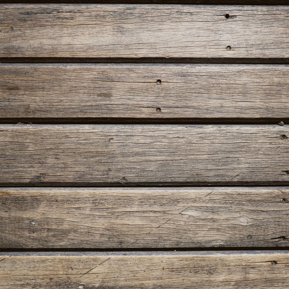 Fence and Decking Painting in Plumstead — surfaces prepped and cut in by hand