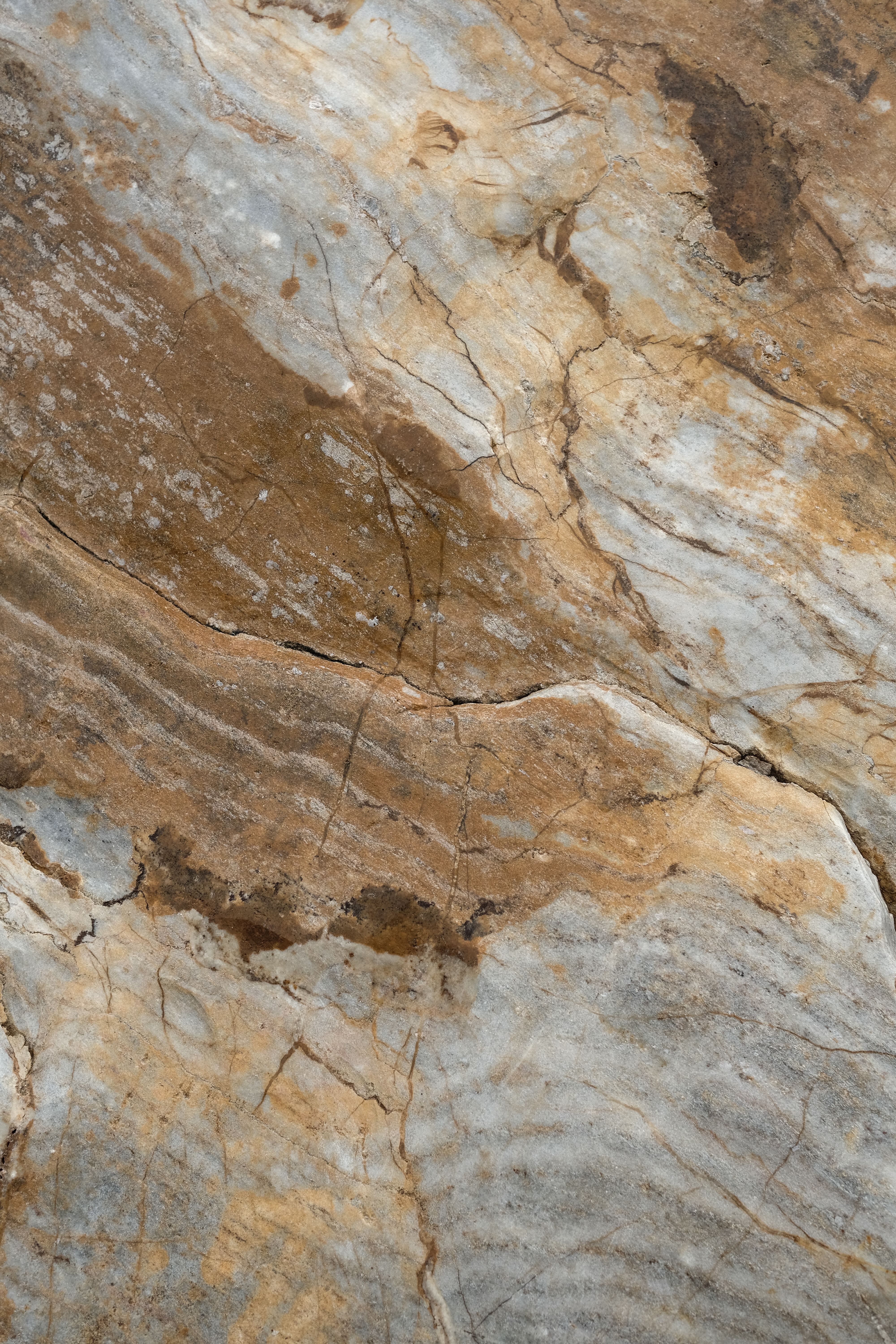 Close-up of a stone surface showcasing intricate natural textures and patterns.