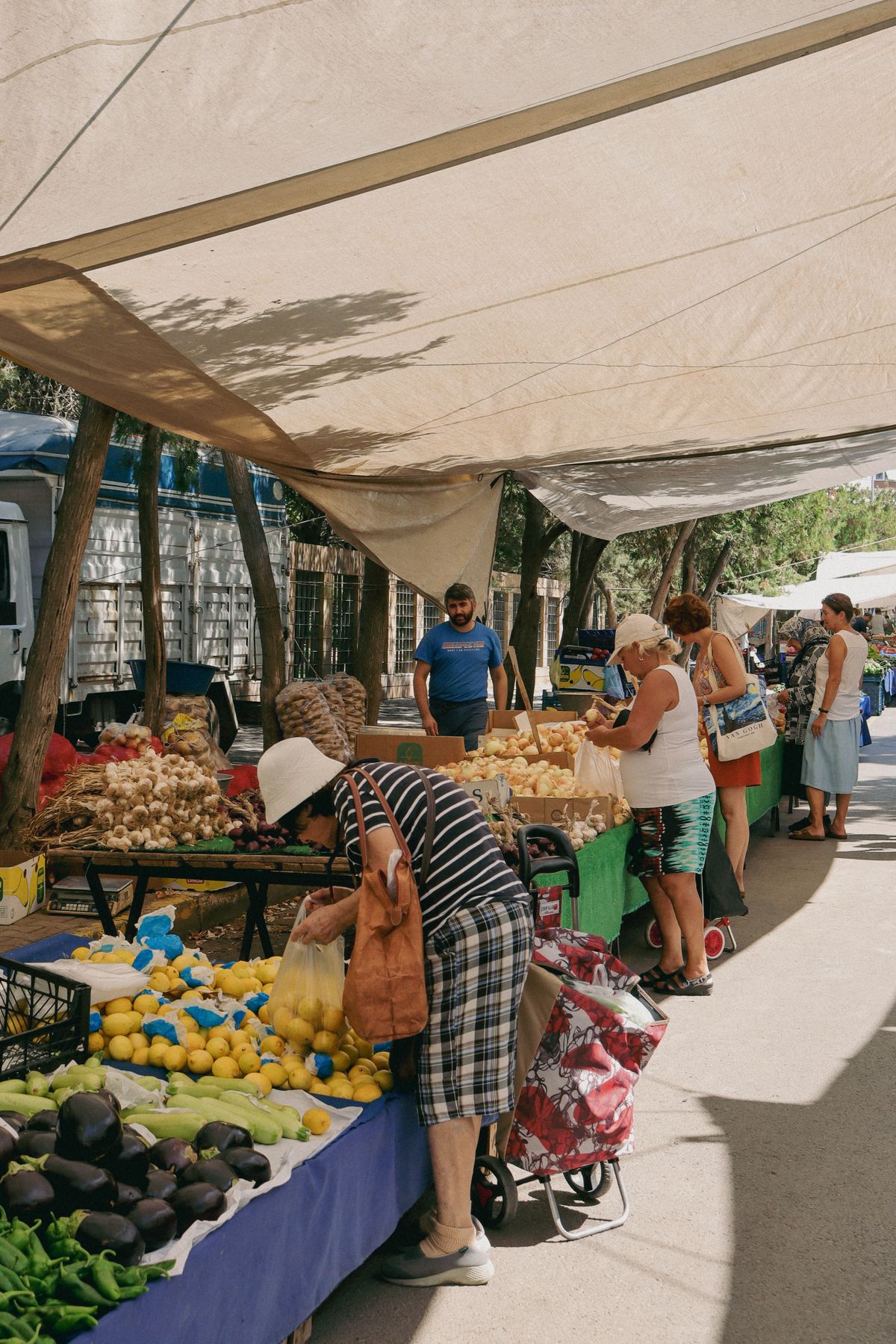 Shoppers browsing fresh produce at an outdoor market
