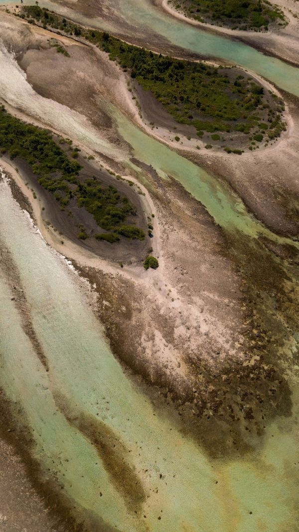 Braided river delta seen from directly above — photo by Alinscxi on Pexels