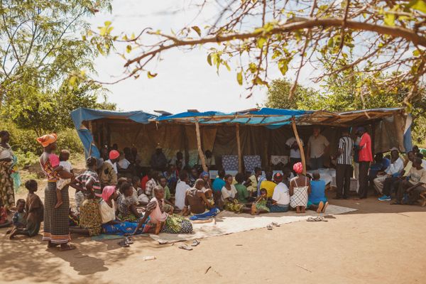 Understanding Land Tenure and Urban Farming Rights — Green Revolution Farmers