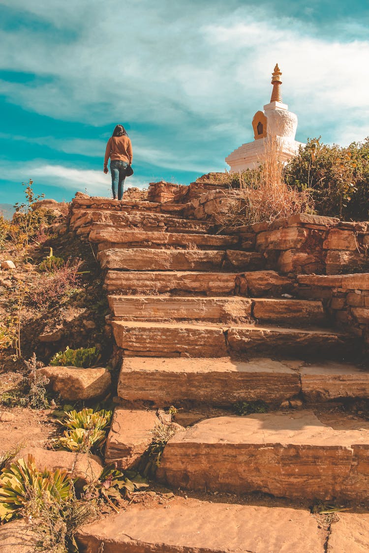 Back View Of A Person Climbing The Stairs