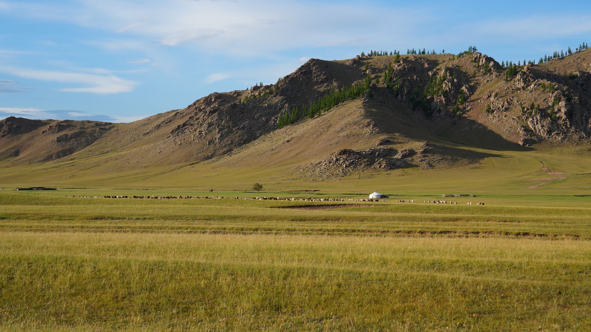 Airport transfers in Mongolia Airport transfers in Mongolia