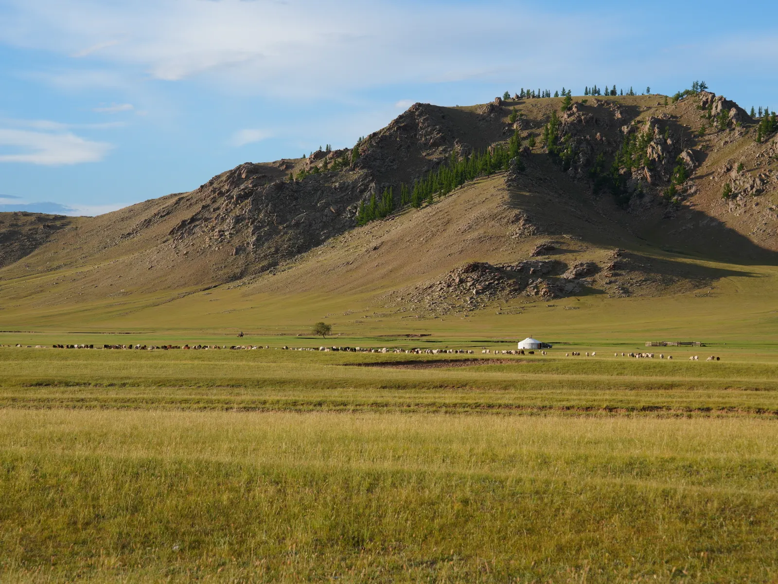 Mongolia — Mongolian steppe, Mongolia