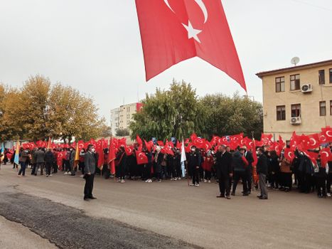 Crowd in Iğdır, Türkiye, waving Turkish flags during a street parade.
