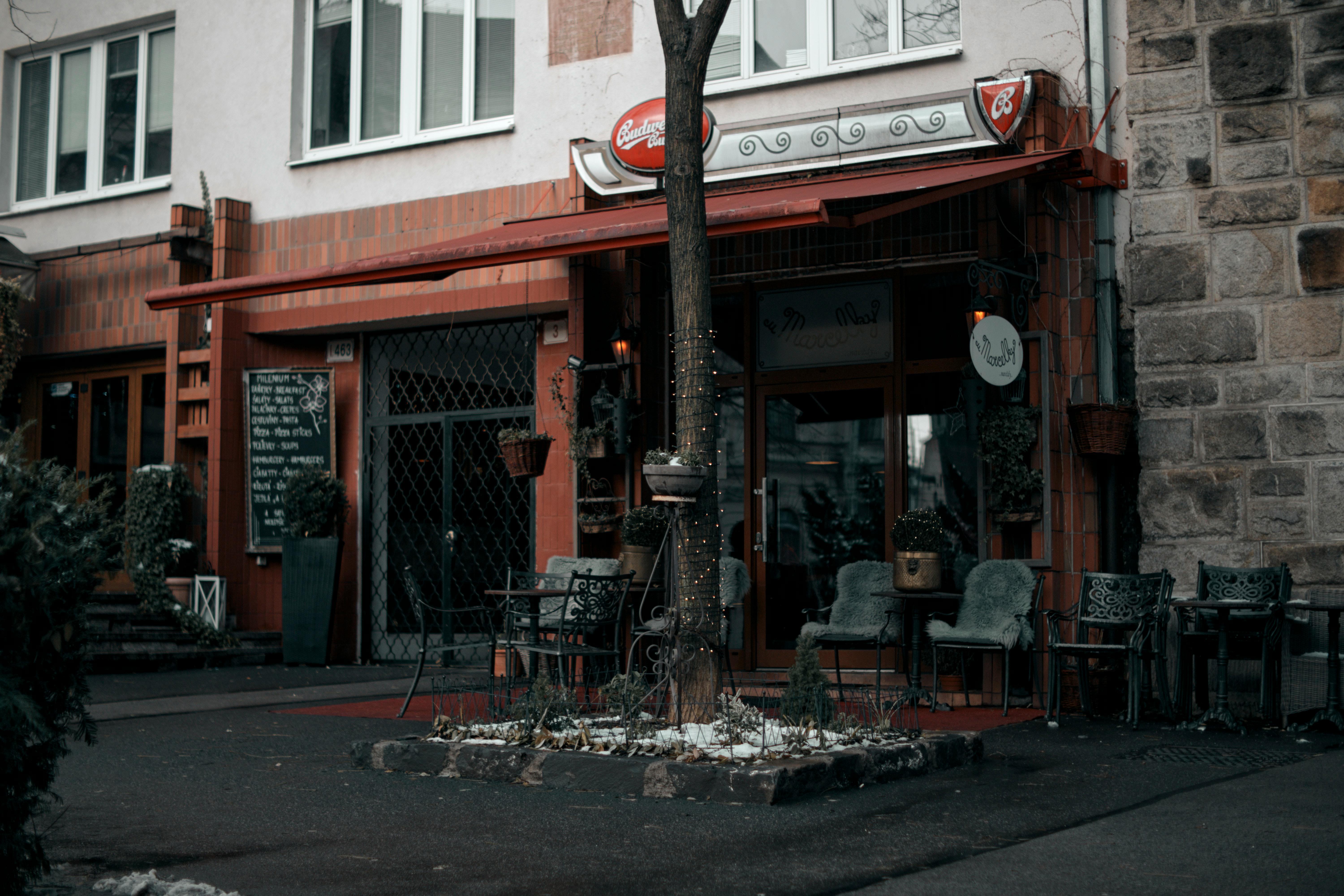 a tree in front of a restaurant with a sign