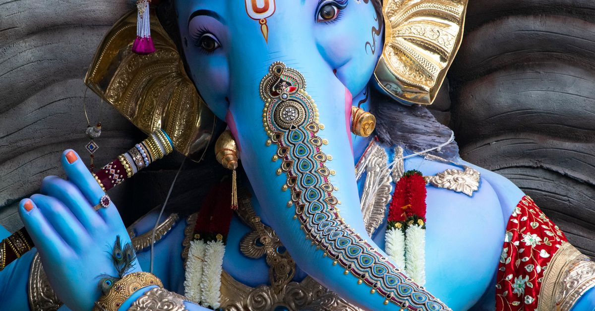 America Cha Raja Malabar Hill Cha Raja 2024 · Free Stock Photo