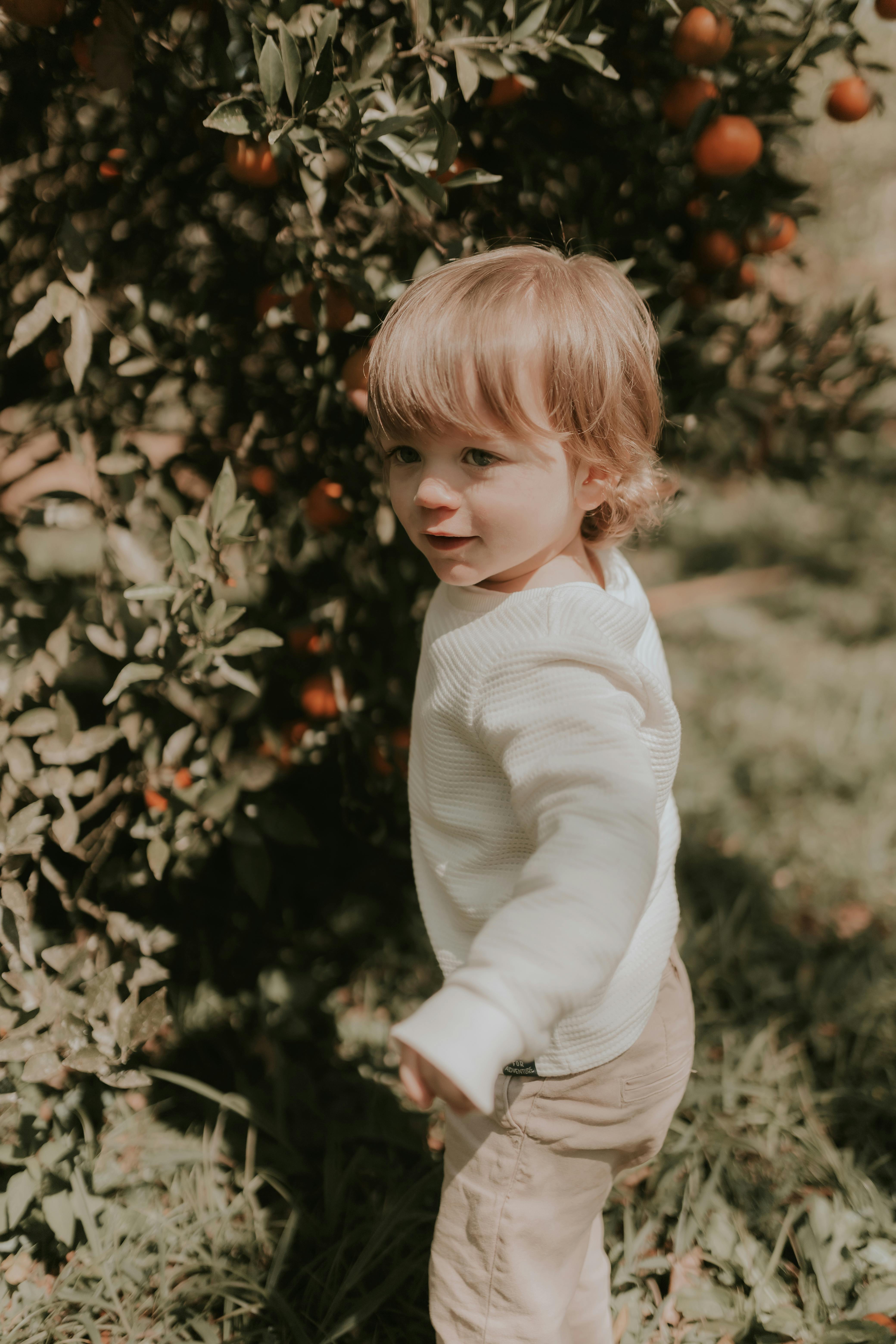 A cute child enjoys a day outdoors in an orchard, standing beside a persimmon tree.