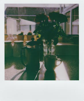 室内场景舒适，花瓶和法国印刷机投下阴影，色调复古