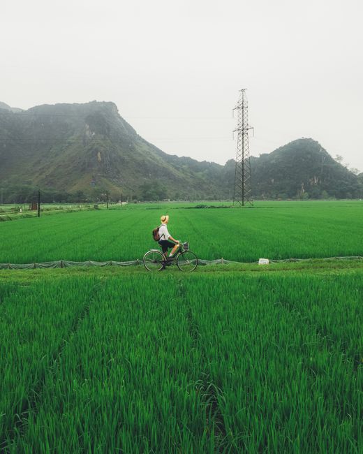 Planning Your Hoi An Cycling Route: Rice Paddies and Beyond Planning Your Hoi An Cycling Route: Rice Paddies and Beyond