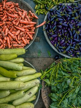 A vibrant display of fresh carrots, eggplants, cucumbers, and greens at a local market.