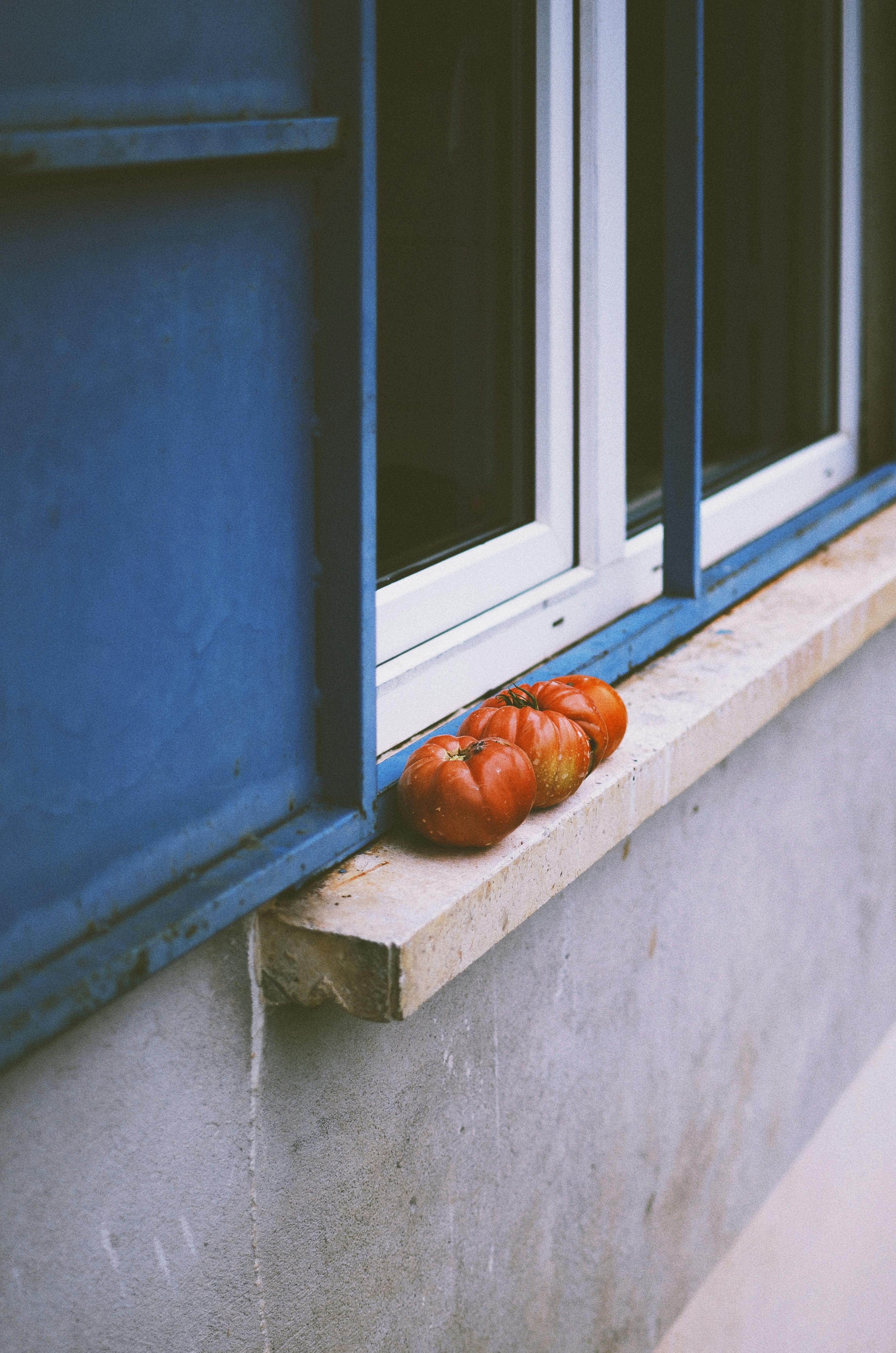 A charming scene with plump tomatoes resting on a rustic window sill, capturing a touch of nature and homegrown produce.