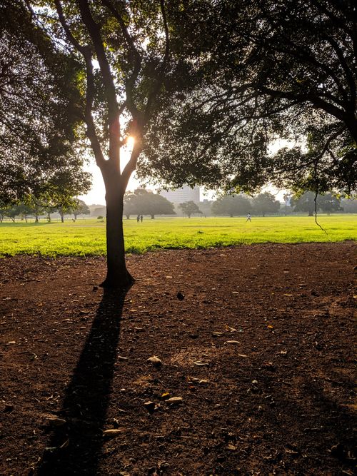 Free stock photo of colors, grass, green Stock Photo
