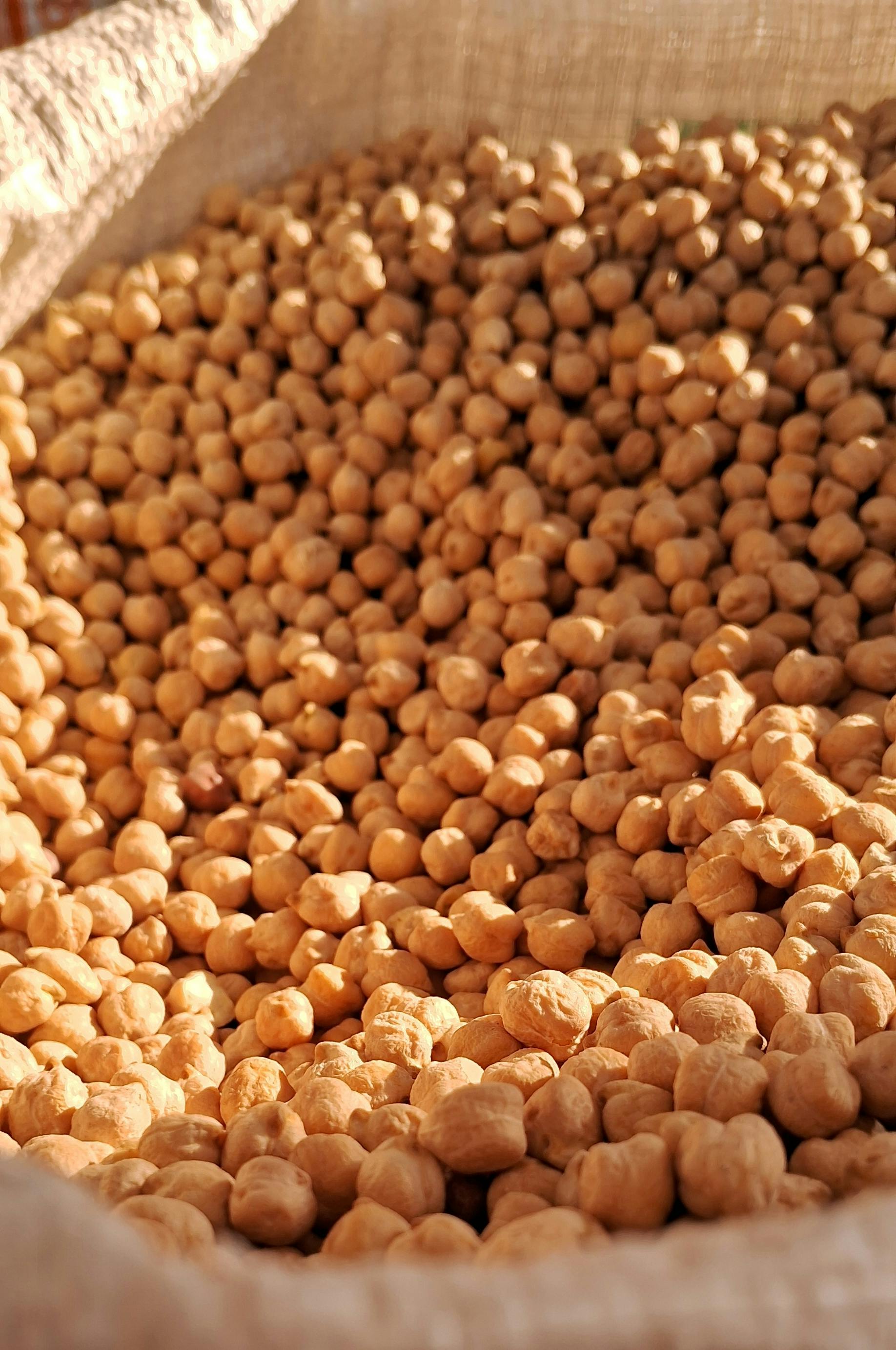 Gratis Immagine gratuita di a base vegetale, agricoltura, arte del cibo Foto a disposizione